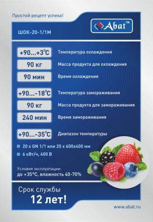 Шкаф шоковой заморозки Abat ШОК-20-1/1М